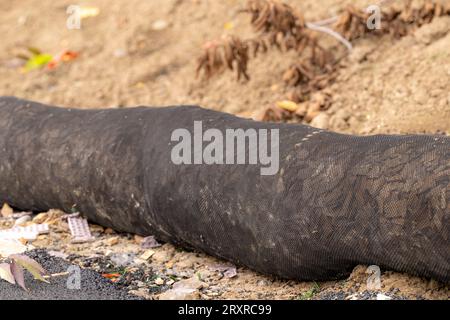 Installiertes Regenwasser, Drainage, Strohschlösser für Erosion und Sedimentkontrolle. Stockfoto