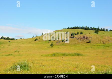 Eine Gruppe von hohen Kiefern auf einem felsigen Hügel unter einem sonnigen Sommerhimmel. Khakassia, Sibirien, Russland. Stockfoto