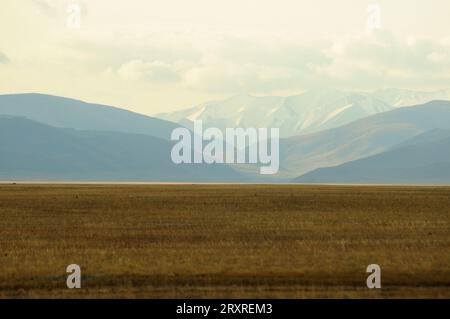 Flache und grenzenlose Herbststeppe mit gelbtem Gras am Fuße einer hohen Bergkette mit schneebedeckten Gipfeln. Kuraisteppe, Altai, Sibirien, Russland Stockfoto