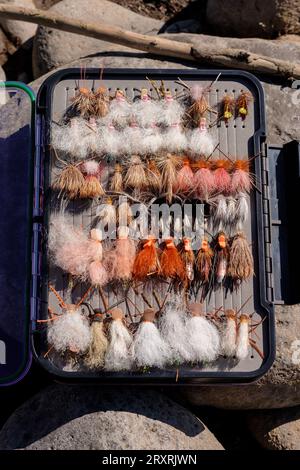 Fliegenfischen fliegt in einer Schutzbox Stockfoto