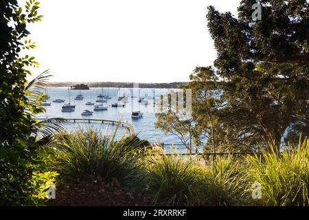 Der Redleaf Pool ist von kleinen Fischerbooten und Segelbooten umgeben. Auch bekannt als Murray Rose Pool, Double Bay, Sydney, Australien. Stockfoto