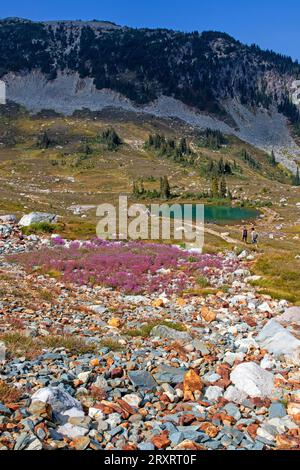 Symphony Lake am Whistler Mountain Stockfoto