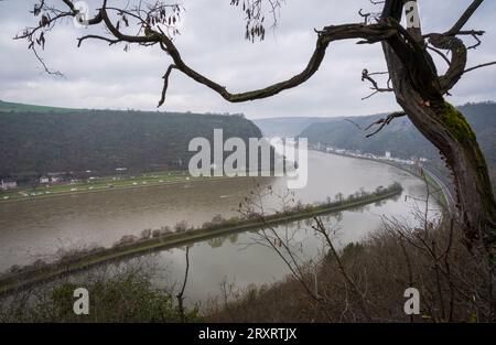 Der Lorelei-Felshügel am Rhein in Deutschland, an einem Frühlingstag Stockfoto