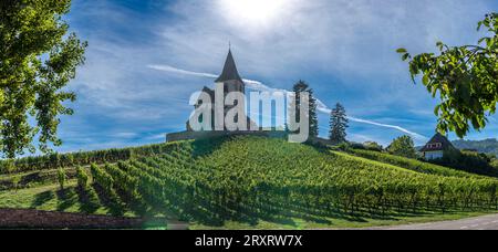 Elsässischer Weinberg. Panoramablick auf die protestantische Kirche Sainte-Marguerite und die Weinberge rundherum Stockfoto