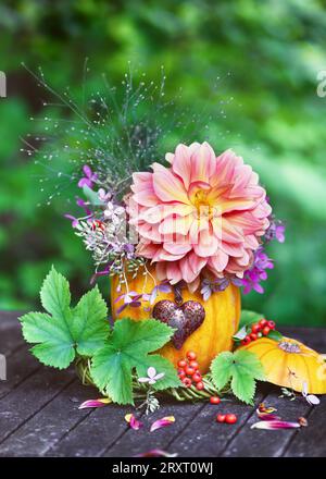 Wunderschöne Blumenarrangements mit bunten Dahlien und violetten Hortensienblüten in einer Kürbisvase. Einfache handgefertigte Wohndekoration. Leerzeichen kopieren. Stockfoto