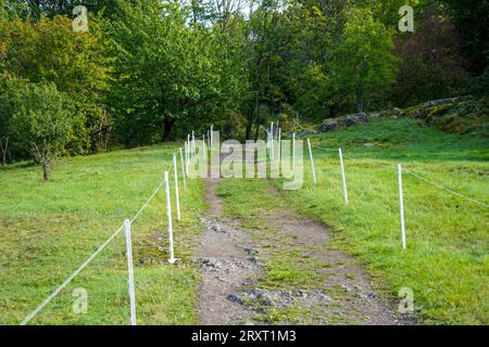 Grüner Pfad im Park, der mit weißen Stöcken geschlossen ist. Grün. Stockfoto