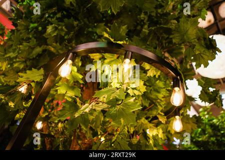 Glühlampen und dekorative Büsche. Wohnaccessoires. Stockfoto