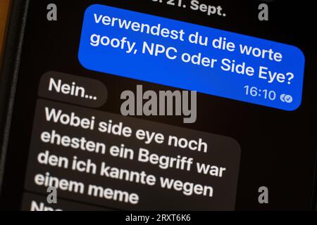 27. September 2023, Berlin: In einer Chatgeschichte die Frage: „Verwendest du die Worte Goofy, NPC oder Side Eye?“ Und die Antwort „Nein... Während Side Eye der engste Begriff war, den ich kannte, wegen eines Mems. Neben „Goofy“ (lustig, ungeschickt) gehören die Begriffe „NPC“ (Abkürzung für „nicht spielbarer Charakter“) und „Side Eye“ (bedeutet Verachtung) zu den drei Favoriten für das am 22. Oktober bekanntgegebene „Jugend-Wort des Jahres 2023“. Foto: Sebastian Gollnow/dpa Stockfoto