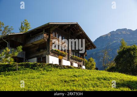 Altes traditionelles schweizer Holzhaus im Freilichtmuseum Ballenberg im Herbst Stockfoto