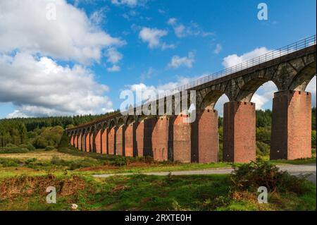 The Big Water of Fleet Viaduct, Dromore, Gatehouse of Fleet, Dumfries und Galloway, Schottland Stockfoto