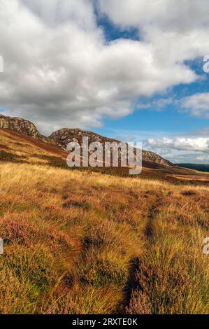 Die Clints of Dromore im Cairnsmore of Fleet National Nature Reserve Galloway, Schottland Stockfoto