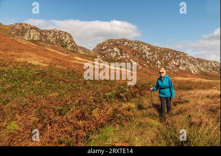 Die Clints of Dromore im Cairnsmore of Fleet National Nature Reserve Galloway, Schottland Stockfoto