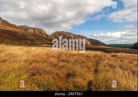 Die Clints of Dromore im Cairnsmore of Fleet National Nature Reserve Galloway, Schottland Stockfoto