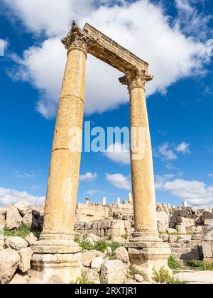 Säulen auf dem Oval Plaza in der antiken Stadt Jerash, die vermutlich 331 v. Chr. von Alexander dem Großen, Jerash, Jordanien, dem Nahen Osten gegründet wurde Stockfoto