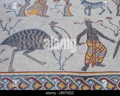 Mosaikboden im Diakonikonen-Baptisterium aus byzantinischer Zeit, der auf dem Gipfel des Mount Nebo, Jordanien, im Nahen Osten steht Stockfoto