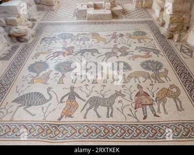 Mosaikboden im Diakonikonen-Baptisterium aus byzantinischer Zeit, der auf dem Gipfel des Mount Nebo, Jordanien, im Nahen Osten steht Stockfoto