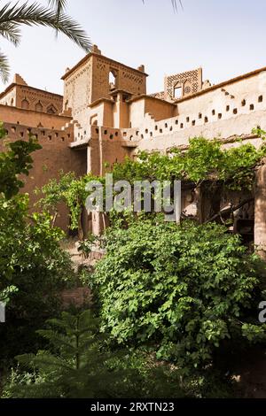 Historische Kasbah Amridil umgeben von Bäumen, Skoura, Atlasgebirge, Provinz Ouarzazate, Marokko, Nordafrika, Afrika Stockfoto