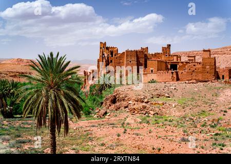 Alte Kasbah umgeben von Palmen, Ounila-Tal, Atlasgebirge, Provinz Ouarzazate, Marokko, Nordafrika, Afrika Stockfoto