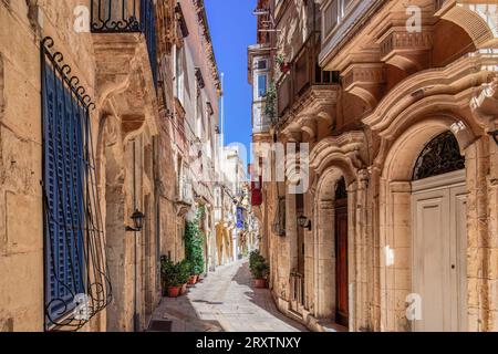 Traditionelle maltesische Kalksteingebäude mit farbigen Balkonen in den lebhaften Gassen der Altstadt von Birgu (Citta Vittoriosa), Malta Stockfoto