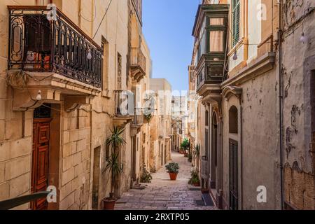 Traditionelle maltesische Kalksteingebäude mit farbigen Balkonen in den lebhaften Gassen der Altstadt von Birgu (Citta Vittoriosa), Malta Stockfoto