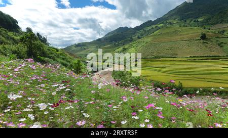 Landschaft mit grünen und gelben Reisterrassen, Blumen und einem Fluss im Hochland Stockfoto