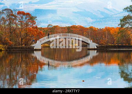 Wunderschöne weiße Bogenbrücke, die sich in einem klaren See mit roten Herbstfarben spiegelt, der Onuma-See, Hokkaido, Japan, Asien Stockfoto