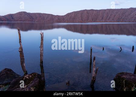 Sanftes violettes Abendlicht an einem See im Spätherbst, das einen Waldhang reflektiert, Lake Toya, Shikotsu-Toya National Park, Abuta, Hokkaido, Japan, Asien Stockfoto