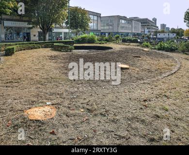 Der traurige Anblick einer Reihe von gesäuberten Baumstämmen, die im März in Plymouth's Armada Way Opfer des Baumfällens wurden. Die Säuberung begann am 21. September Stockfoto