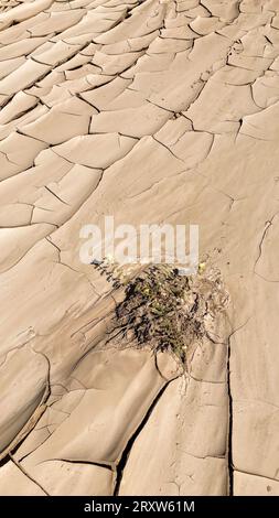 Abstraktes Muster von trocken gerissenen Lehmoberflächen, getrockneten Flussläufen durch längere Dürre. Swakop River, Namibia, Afrika Stockfoto