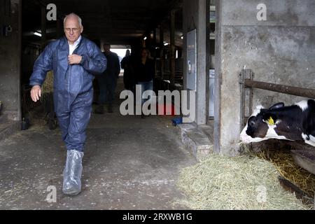 NEDERHORST DEN BERG - der ausgehende Landwirtschaftsminister Piet ADEMA besucht ein Unternehmen, das vom Blauzungenvirus betroffen ist. Die Seuche breitet sich rasch in den Niederlanden bei Wiederkäuern wie Schafen, Ziegen und Kühen aus. Etwa 10 Prozent der infizierten Tiere sterben an der Krankheit. ANP SANDER KONING niederlande aus - belgien aus Stockfoto