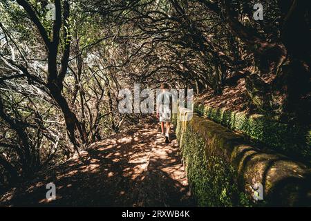 Malerische Aussicht auf einen kleinen Jungen, der entlang einer Levada, einem typischen Wasserkanal, in einem Baumtunnel spaziert, der Wald bildet, Levada das 25 Fontes, Madeira, Portugal Stockfoto