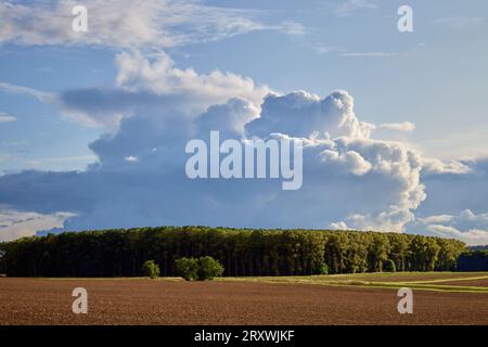 Sturmbrauerei in der Nähe von Waltham in Linconshire Stockfoto