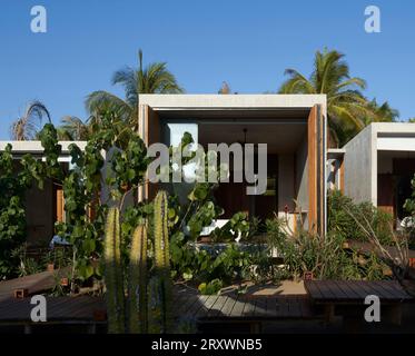 Schlafzimmermodule eingebettet in Vegetation. Casa Leria, Puerto Escindido, Mexiko. Architekt: TAC Taller Alberto Calleja, 2023. Stockfoto