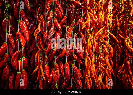 Toller Blick auf Tausende von eingefädelten Chili-Paprika, die an einer Wand am Mercado dos Lavradores (Bauernmarkt) in Funchal, Madeira, Portugal hängen Stockfoto