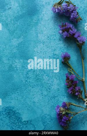 Limonium sinuatum, allgemein bekannt als Wellenblatt-Meereslavender, statice, Meereslavender, Kerbblatt-Sumpf-Rosmarin, rosa Blüten auf einer blauen Aquarellfarbe Stockfoto