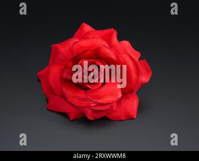 Hierbei handelt es sich um ein zusammengesetztes Bild mehrerer Bilder, die zusammengefügt oder verschmolzen werden, um ein einziges endgültiges Bild zu erstellen. Stockfoto