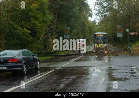 Mittwoch, 27 2023. September, Bantry, West Cork Irland; Storm Agnes traf heute Morgen in Bantry an Land. Die Fahrer werden gewarnt, mit Verzögerungen bei Überschwemmungen zu rechnen und gefährdete Verkehrsteilnehmer zu berücksichtigen. Die Fahrer in Bantry mussten auf Arbeiter warten, die einen umgestürzten Baum auf der N71 Glengarriff Road in Ballylickey abräumten. Foto: Evan Doak: Evan Doak/Alamy Live News Stockfoto