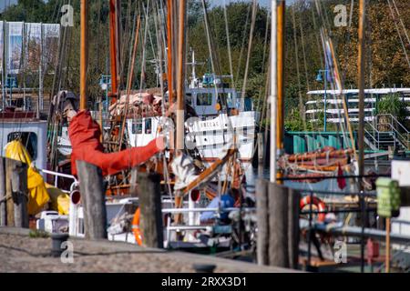 27. September 2023, Mecklenburg-Vorpommern, Greifswald: Historische Segelschiffe liegen bei sonnigem Wetter im Museumshafen in Greifswald. Derzeit gehören mehr als 40 historische Schiffe zum Museumshafen. Während es am Donnerstag spät sommerlich warm und sonnig sein soll, kann es am Wochenende wechselhafter werden. Foto: Stefan sauer/dpa/ZB Stockfoto