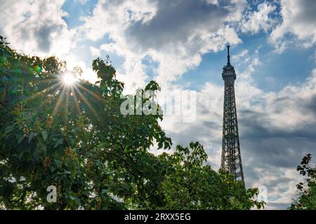 Eiffelturm mit sternenklarer Sonne, die durch die Bäume blickt. Stockfoto