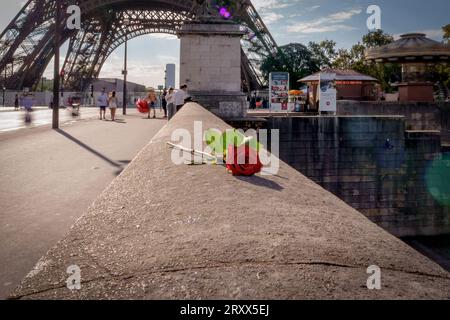 Eine einzelne rote Rose auf der Pont d'lena vor dem Eiffelturm in Paris, Frankreich Stockfoto