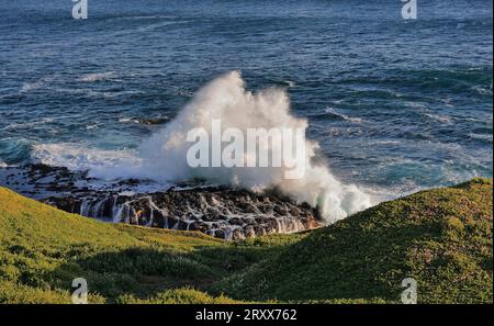 969 Wellenbruch am Ufer nahe Point Grant von der Promenade entlang der Südküste von Phillip Island gesehen. Victoria-Australien. Stockfoto