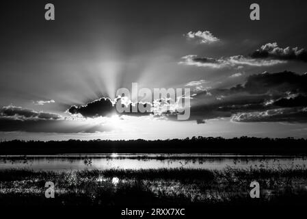 Infrarot Rot-Schwarz-weiß-Bild der Sonne mit Sonnenstrahlen am blauen Himmel mit Wolken bei Sonnenuntergang über dem Myakka River State Park in Sarasota, Florida, USA Stockfoto