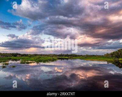 Rosa Wolken über dem Myakka River im Myakka River State Park in Sarasota, Florida, USA Stockfoto