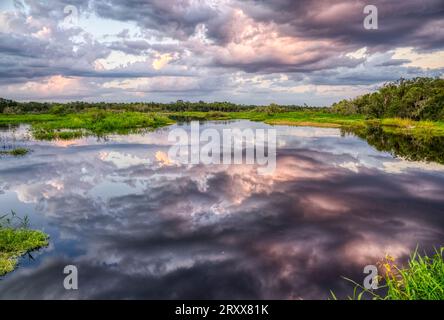 Rosa Wolken über dem Myakka River im Myakka River State Park in Sarasota, Florida, USA Stockfoto