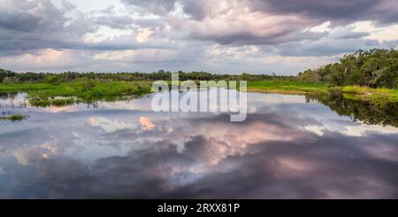 Rosa Wolken über dem Myakka River im Myakka River State Park in Sarasota, Florida, USA Stockfoto