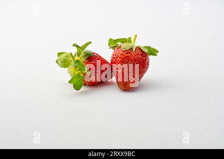 Zwei üppige Erdbeeren, die in Nahaufnahme aufgenommen werden, werden wunderschön vor einem makellosen weißen Hintergrund präsentiert, ihre saftige Rötung lädt zu einem Happen ein. Stockfoto