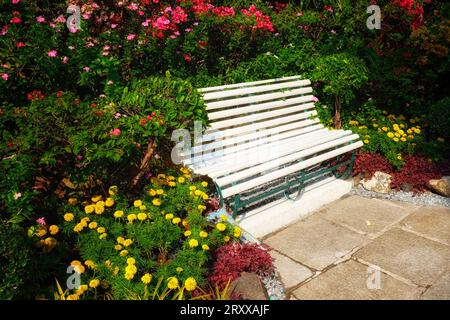 Inmitten eines Gartens befindet sich auf einem Steinpfad eine weiße Holzbank, die von lebhaften rosa, roten und gelben Blüten umgeben ist. Stockfoto