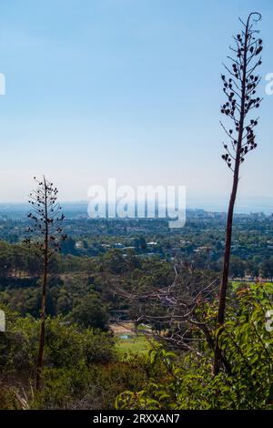 Blick auf die Inspiration Point Loop im will Rogers Historical Park in Santa Monica, kalifornien. Blick auf den pazifik und die Innenstadt von Los Stockfoto