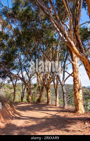 Blick auf die Inspiration Point Loop im will Rogers Historical Park in Santa Monica, kalifornien. Blick auf den pazifik und die Innenstadt von Los Stockfoto