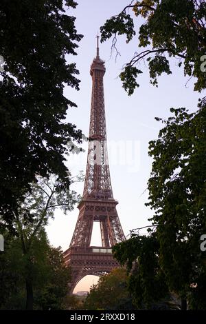 Der Eiffelturm durch die Bäume im Champ de Mars, Paris, Frankreich Stockfoto